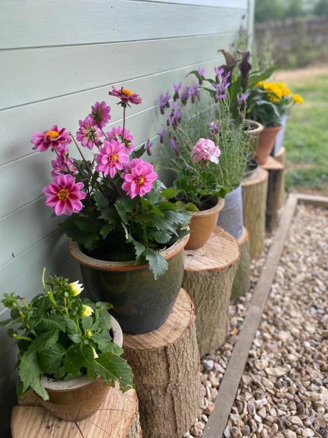 Cosy Cotswolds Self-Contained One Bedroom Cottage Chipping Norton Eksteriør billede